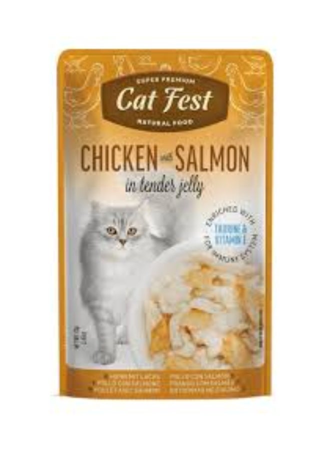 Cat Fest Chicken with Salmon in Tender Jelly 70g Natural Wet Cat Food for Adult Cats & Kittens From Varmacy - Image 1